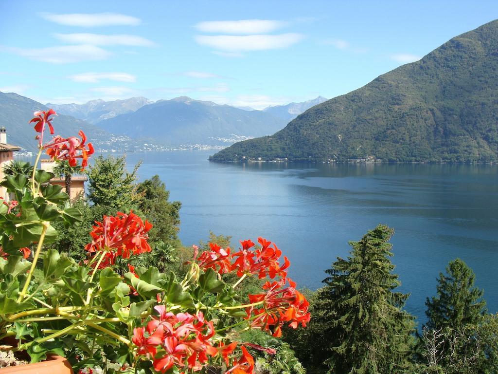 B&B Lago Maggiore Cannobio Eksteriør billede